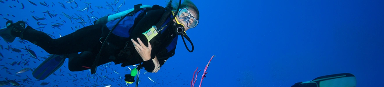 Corsica scuba diving.