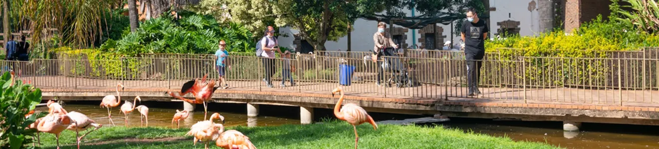 Pretoria Zoo in South Africa