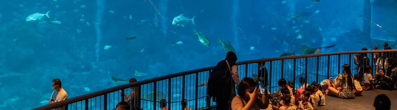 premier aquariums 