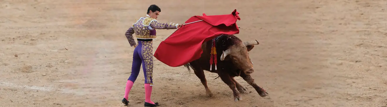 bullfighting