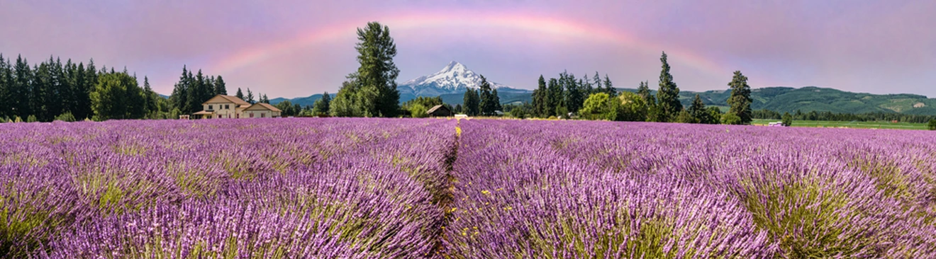 Willamette Valley in Oregon