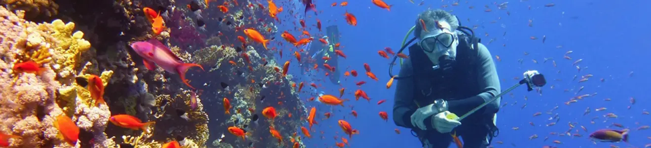 great barrier reef