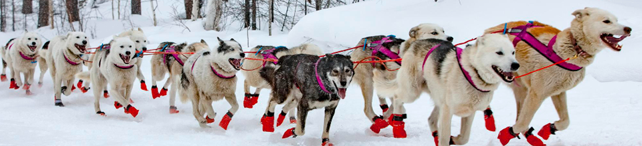 Matanuska 