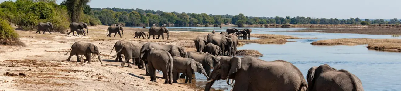 Jim Corbett National Park