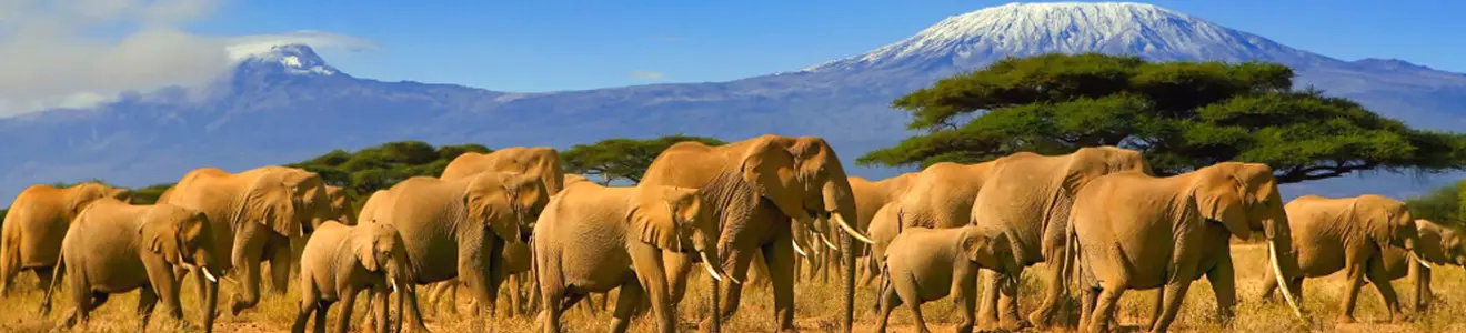 Nairobi National Park