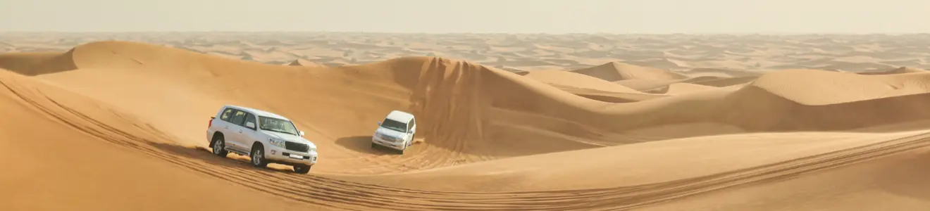 Arabian Desert in Dubai