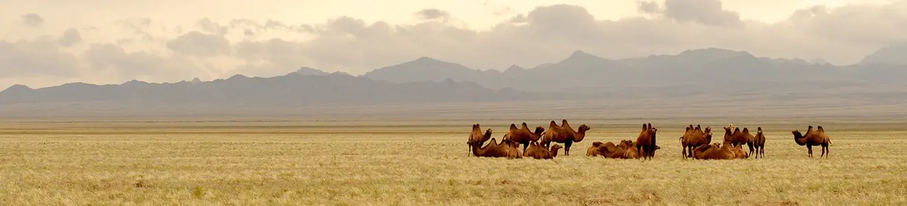 Gobi Desert in Mongolia