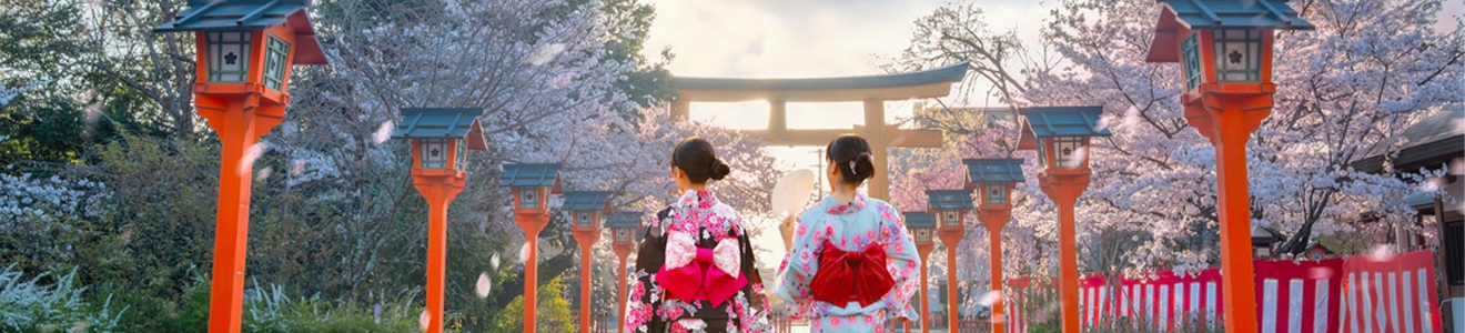 Cherry Blossoms, Tokyo, Japan